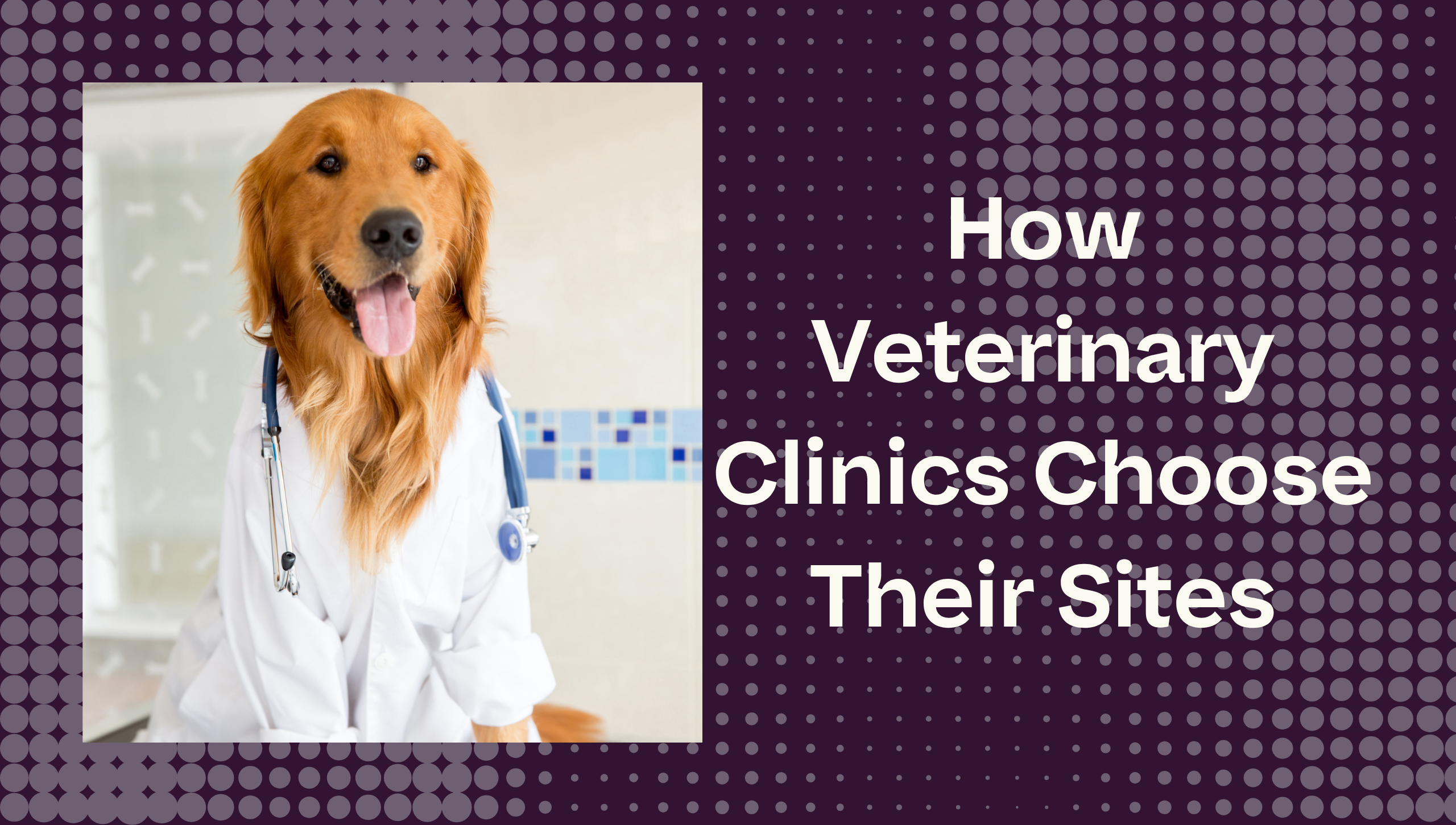 The Paw-fect Location! How CityVet Selects its Sites